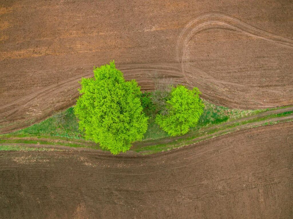 Sustainable Mixology