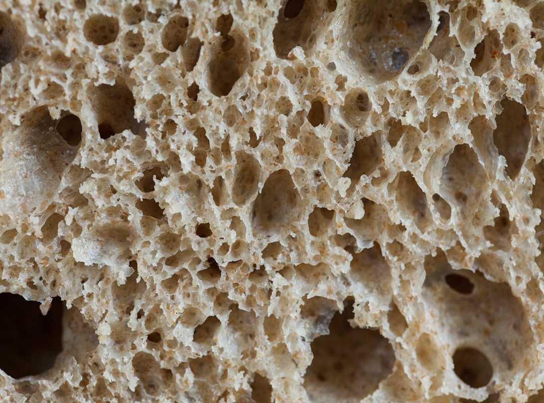 fermentation basics beginners