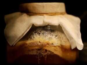 fermentation basics beginners