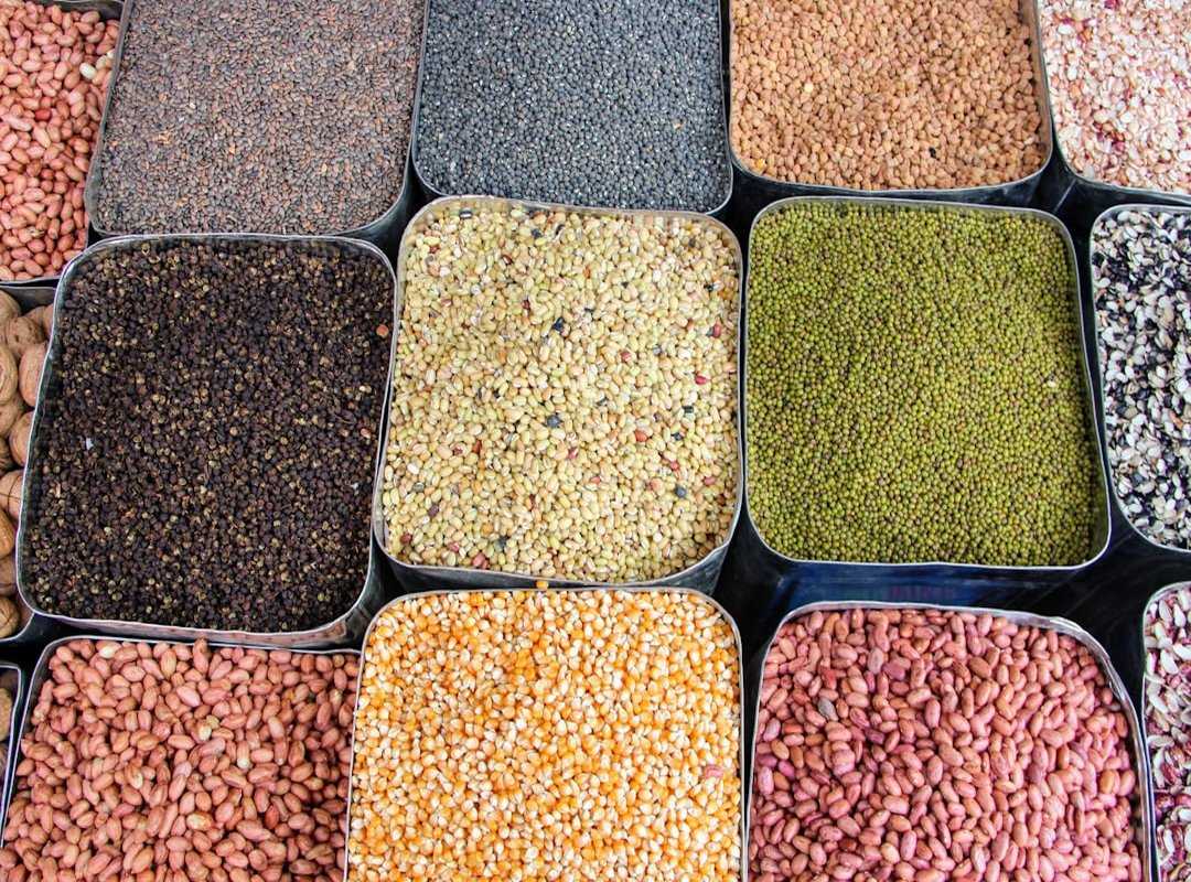 plant-based dining rise