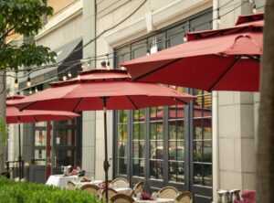 seasonal tasting menus