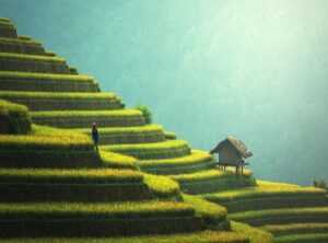 sustainable food movements