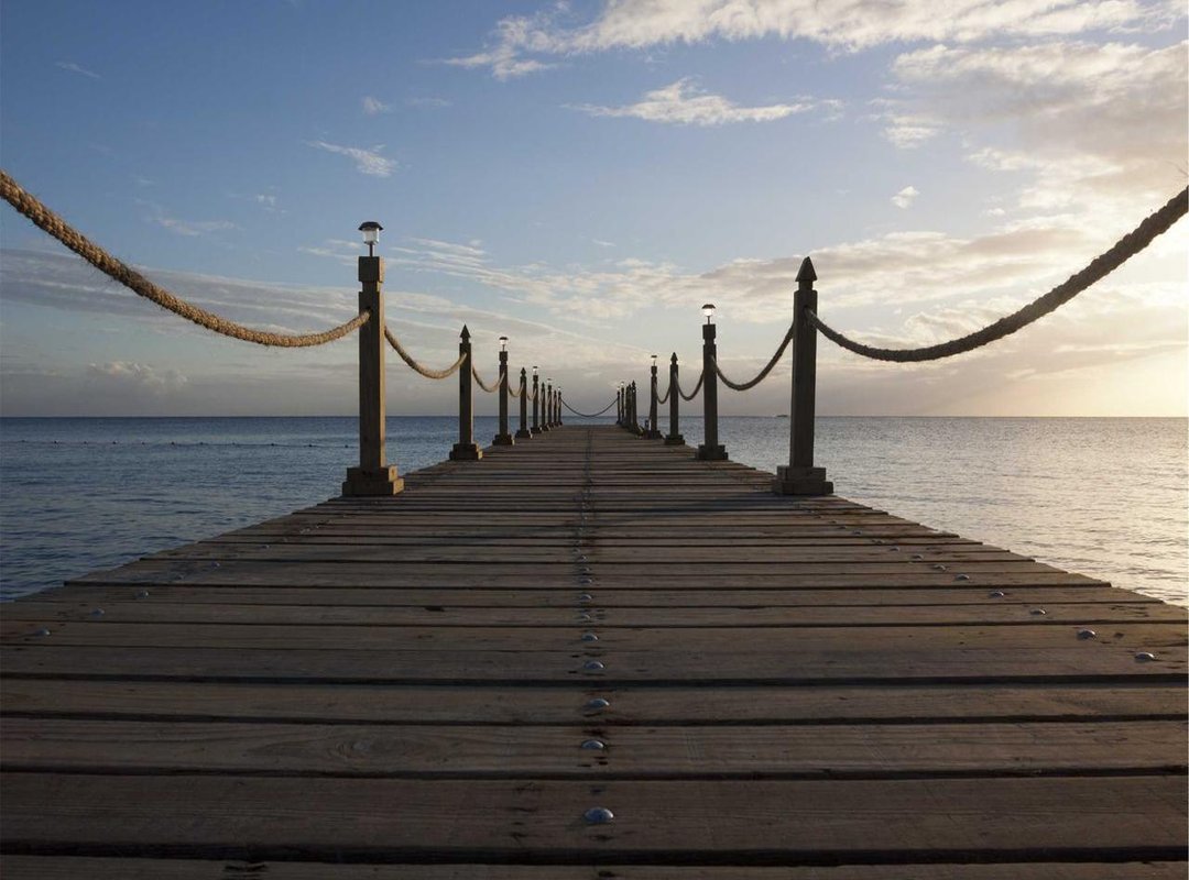 How to Spot a Fake: 4 Things to Check Before You Download