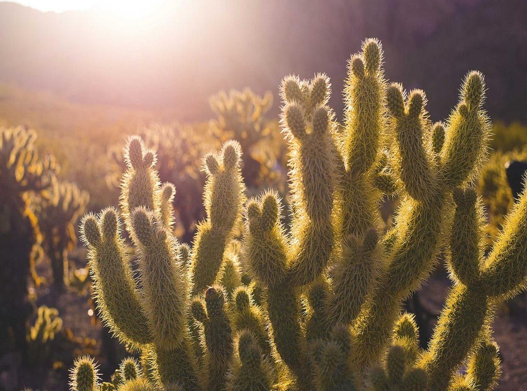 Putting It All Together: A Detailed Breakdown for 76 kg