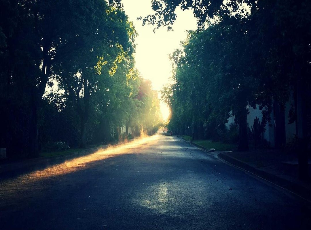 Where to Find and What to Expect from Giyu/Shinobu Stories