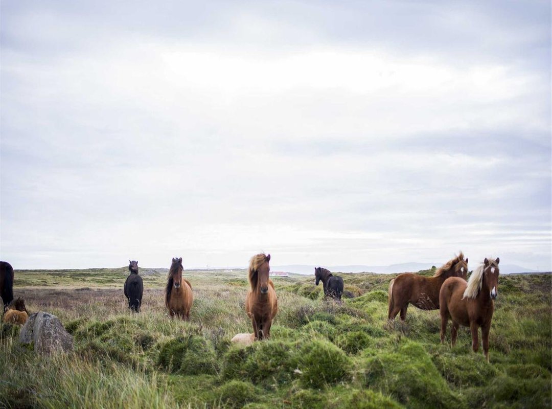 Mastering Control: Essential Handling and Braking Mods