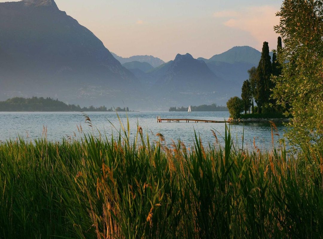 Pro Tips for Coloring Midas: Mastering the Golden Look