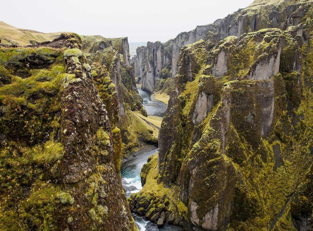 Beyond the Page: Fun Facts About This Fiery Giant