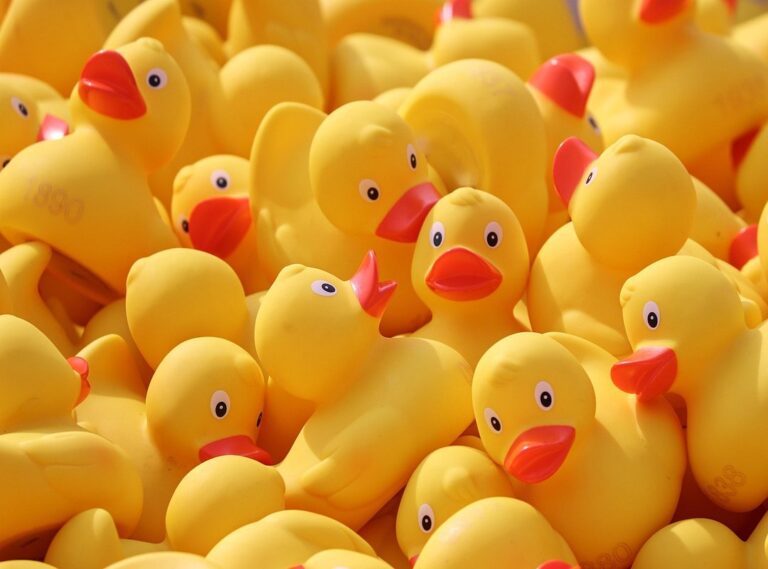 paper duck kleurplaat kleding