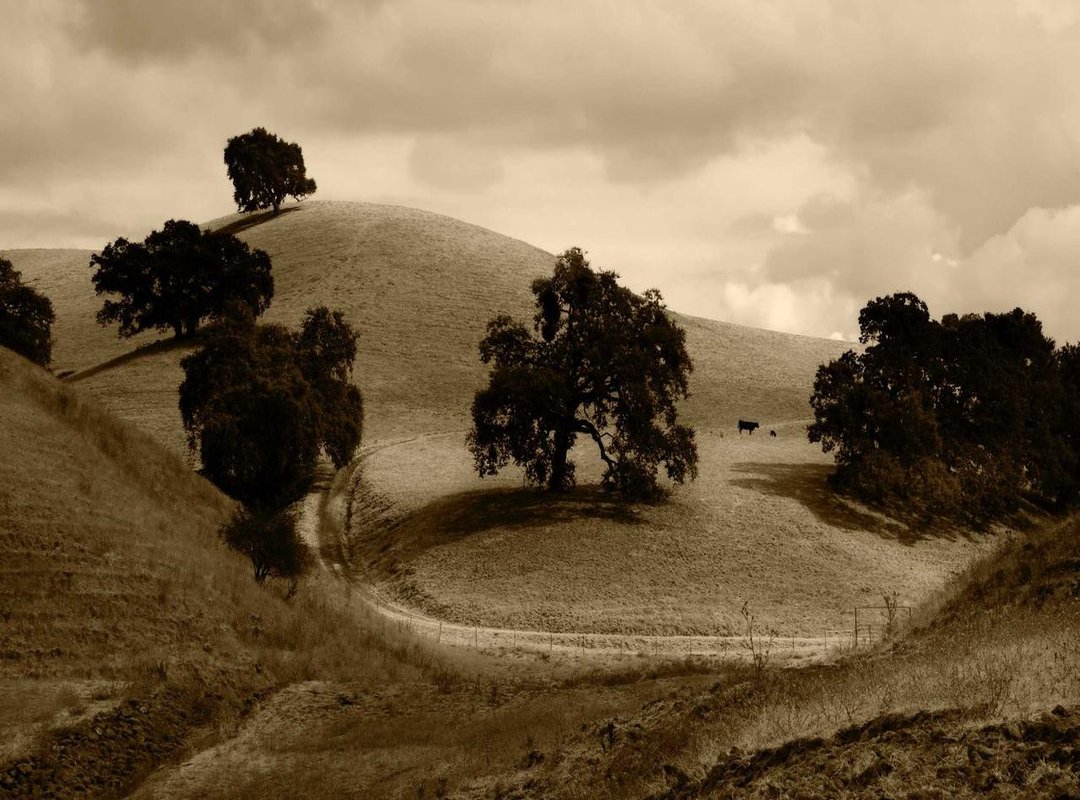 From Idea to Ink: Your Quick-Start Guide