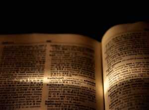 wys meaning in text