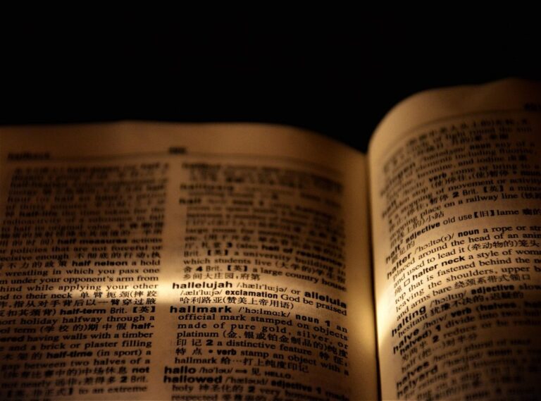 wys meaning in text