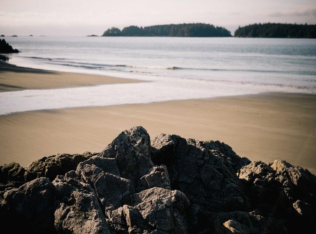 Free vs. Premium Templates: Is Paying Worth It?